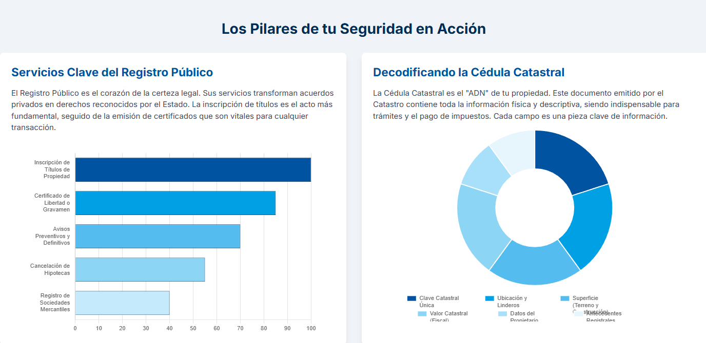 Infografía sobre trámites y servicios más comunes en Insejupy.