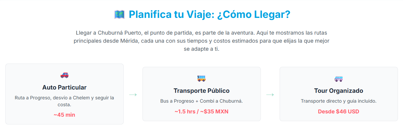 Gráfico o infografía sobre el crecimiento del turismo en La Isla de los Columpios