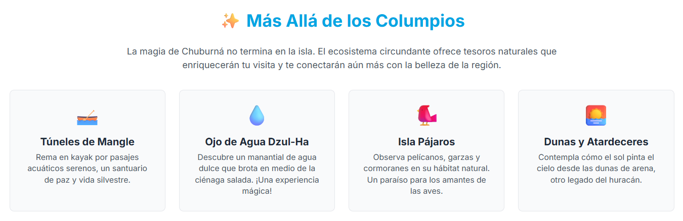 Vista aérea del paisaje de agua y manglares alrededor de La Isla de los Columpios