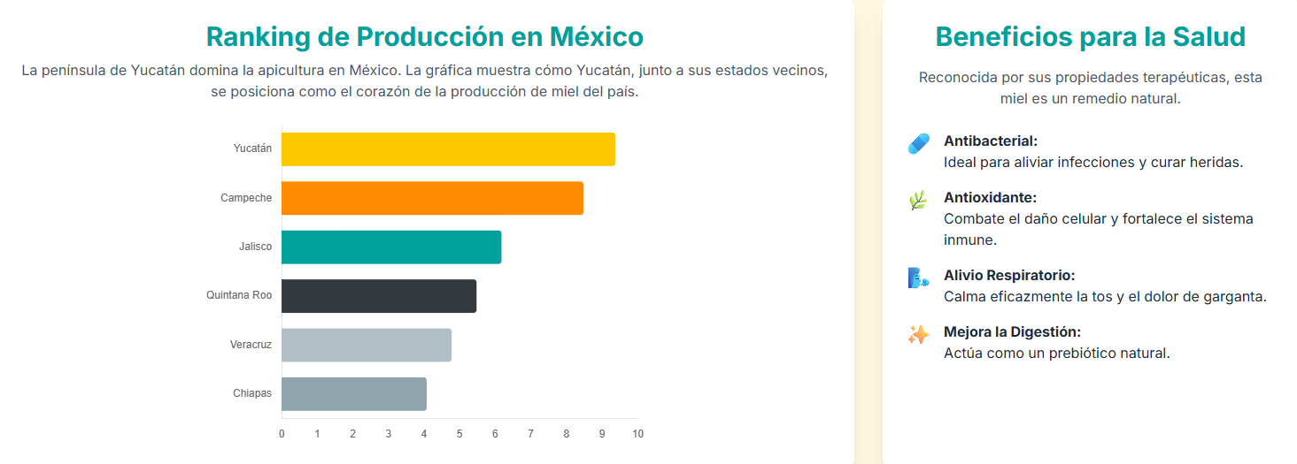 Mapa que muestra las principales zonas de producción de miel en Yucatán.