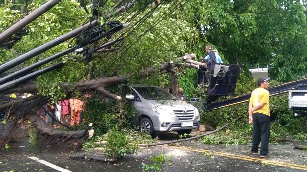 Hujan Deras Disertai Angin Kencang Bikin Kota Malang Porak-Poranda! Belasan Pohon Tumbang, Kendaraan Rusak, Warga Luka