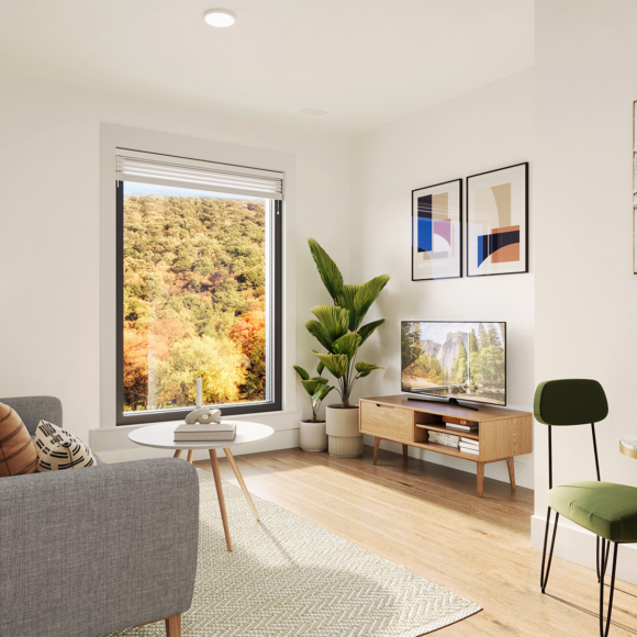 Innovation Ridge Boone NC Student Housing APP 1 Bed Living Room