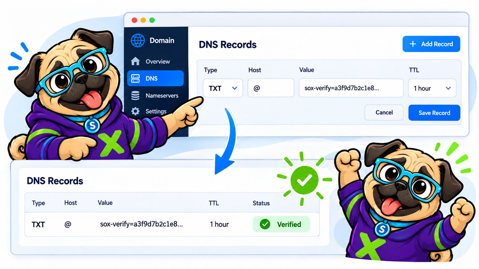Un servicio le pide que verifique su dominio: cómo funciona DNS TXT Proof sin compartir su inicio de sesión