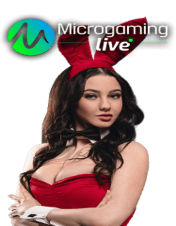 MICROGAMING