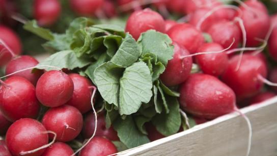 Rábano: propiedades, beneficios y valor nutricional