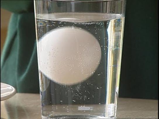 El truco infalible para saber si un huevo se puede consumir