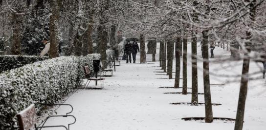 El enero nevado de la borrasca 'Filomena'