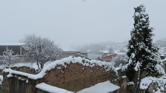 Todas las caras de la borrasca 'Filomena'