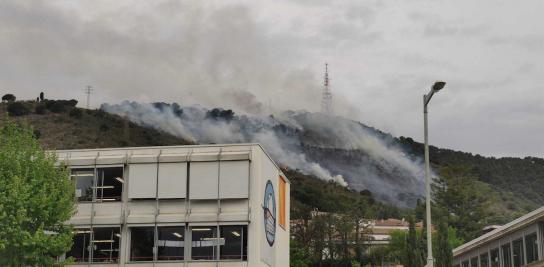 Preocupación por Collserola, que ha vivido cinco incendios en poco más de un mes