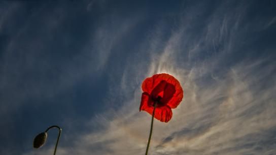 El halo solar luce en Osona