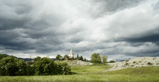 Las propiedades naturales de la flor del tomillo