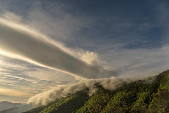 Cascada de niebla en la Serra de Llancers