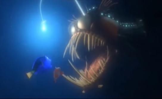 El diablo negro que emergió del fondo marino para morir cerca de Los Angeles