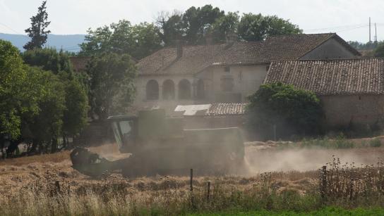La siega en los campos de Camporat