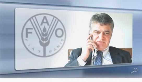 Qué han dicho sobre consumo de carne y clima la ONU, FAO, IPCC y WRI