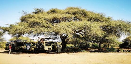 Safari con niños en Tanzania: un emocionante viaje familiar tras los cinco grandes (animales)