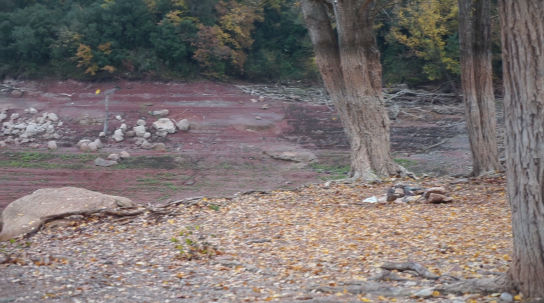 La lluvia de hojas en el pantano de Sau