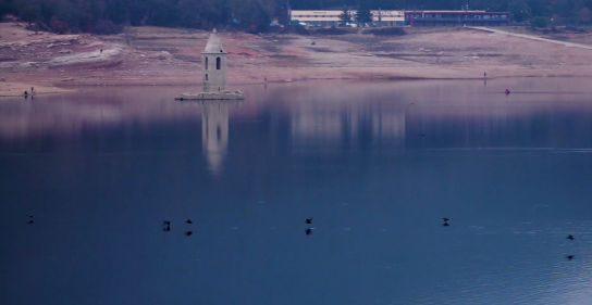 El espectáculo de los cormoranes en Sau