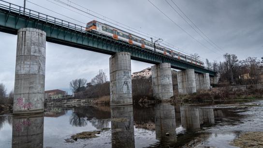 La pasarela del Ter se rodea de vida