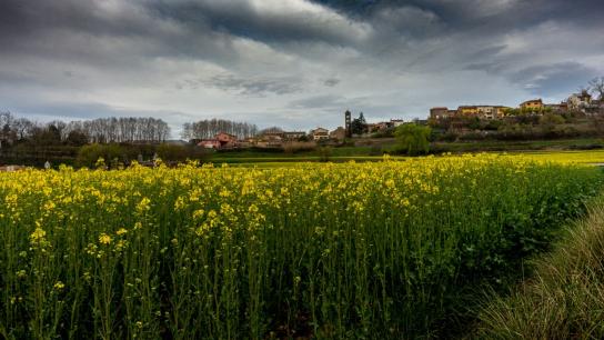 El triángulo amarillo de Sant Vicenç de Torelló