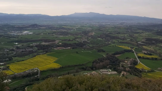 Osona en verde y amarillo