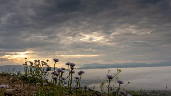 ¿Dónde puedo ver el crepúsculo de los dioses?