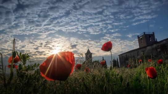 Grandes contrastes del amanecer en primavera