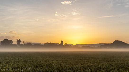 La calima se apodera del amanecer