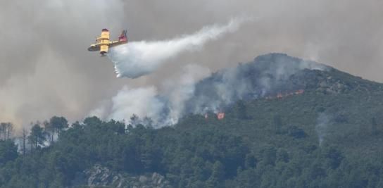 Las llamas entran en el Parque Nacional de Monfragüe y avanzan "a toda velocidad"