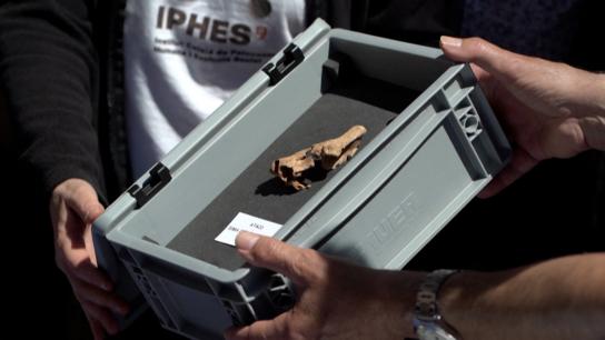 “La globalización es el mayor error de la historia humana”