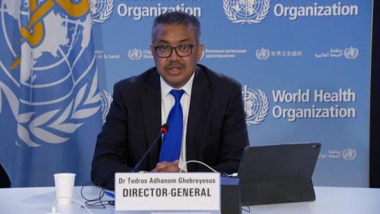 Viruela del mono: España suma dos muertes, ¿se ha menospreciado la infección?