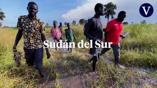 Guerra en Kyiv, hambre en Sudán del Sur