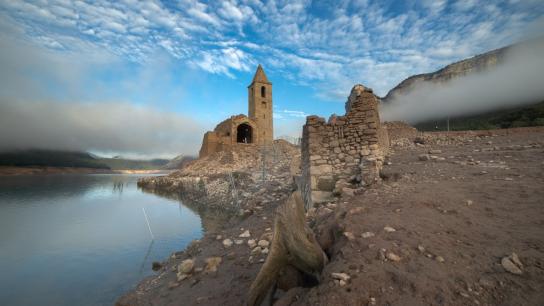 El otoño de los cormoranes en Sau