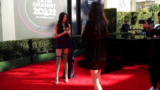 Todos los looks de la alfombra roja de los Premios Grammy Latinos