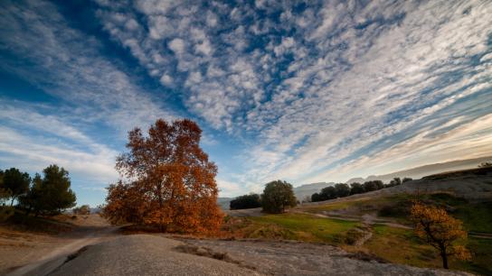 Los amaneceres de la cencellada y los borreguitos