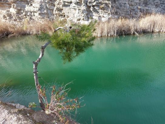 El paraje del Penedès fruto de la acción humana