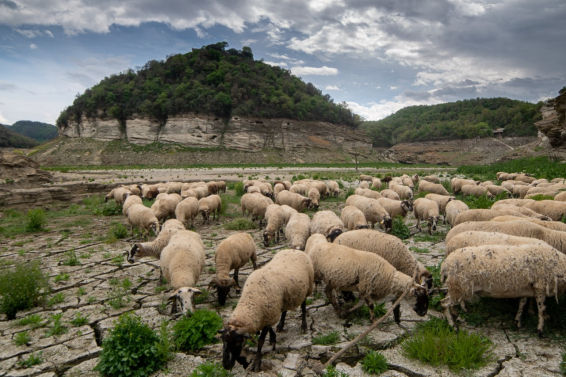 Mira cómo se ha secado el meandro del Ter