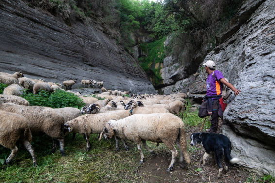 La tristeza del Cap de Mort
