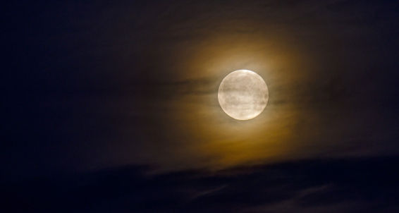Las mil y una caras de la luna llena de las flores
