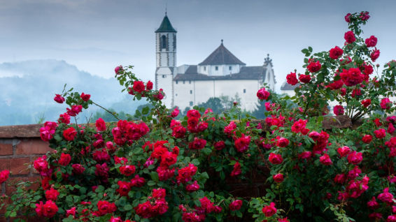 La bucólica primavera en La Gleva