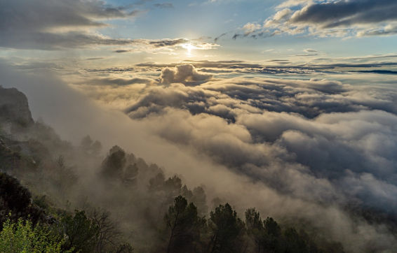 Mira cómo cabalgan olas en los mares de niebla