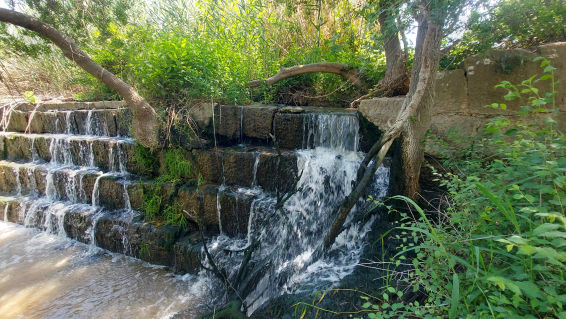 ¿Cómo funciona una pecera canalizadora de agua?