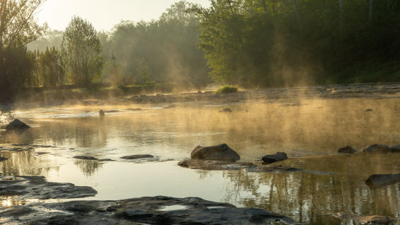 ¿Por qué el Ter saca humo?