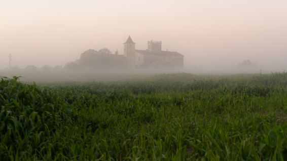 La belleza de la hora dorada de la neblina