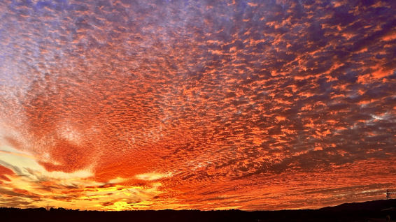 El refranero no falla y trae por fin la lluvia