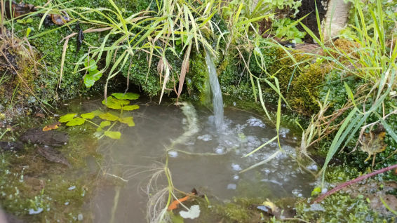 El legado de los lavaderos públicos