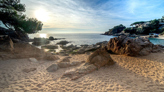 Temporada de baño en pleno mes de febrero