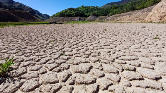 Lluvia para el Sant Jordi de la sequía