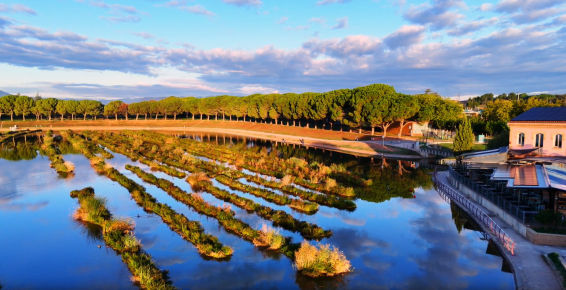 El dron de los reflejos en el Parc de l'Agulla