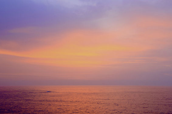 ¿Qué ha escupido el mar en la Costa Brava durante la última DANA?